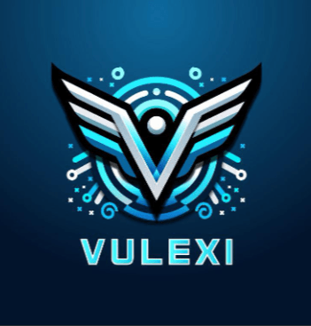 Logo VU LE XI Data Solutions Limited Company
