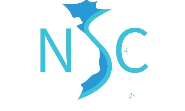 Logo NSC SOFTWARE