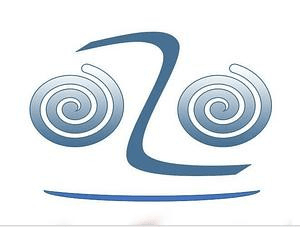 Logo CÔNG TY TNHH THƯƠNG MẠI VÀ DỊCH VỤ OZOVN
