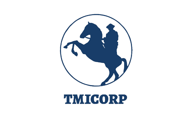 Logo Công ty cổ phần đầu tư thương mại quốc tế Toàn Mỹ