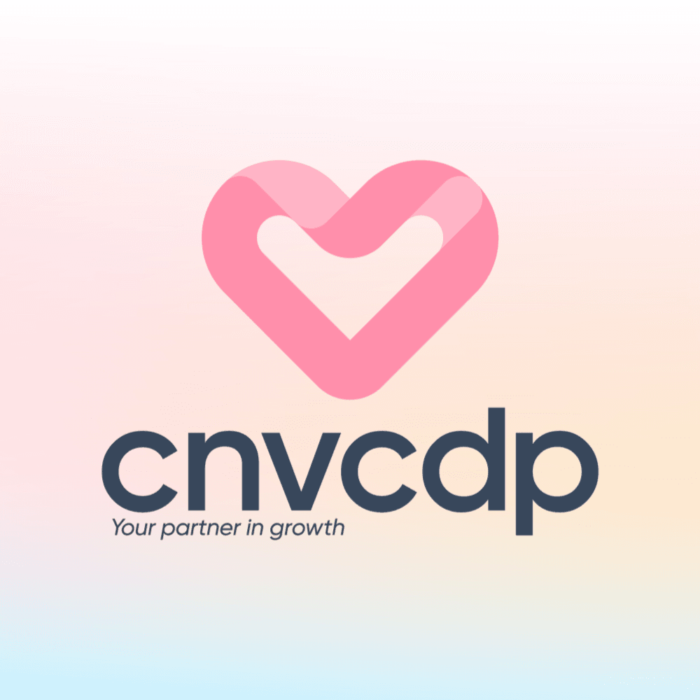 Logo CÔNG TY TNHH CNV HOLDINGS