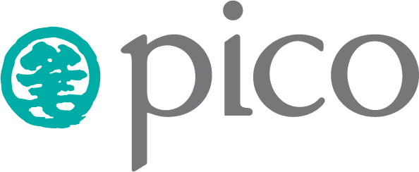 Logo PICO HCMC LTD