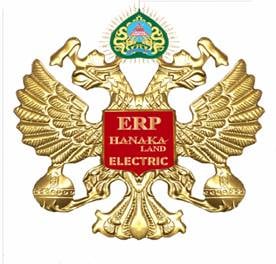 Logo Công Ty Cổ Phần Tập đoàn Hanaka
