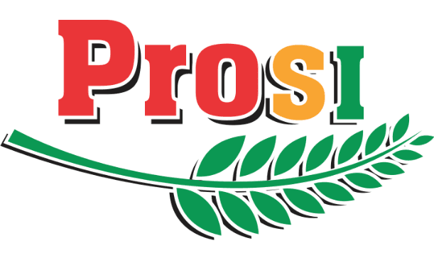Logo Công Ty Cổ Phần Prosi Thăng LONG