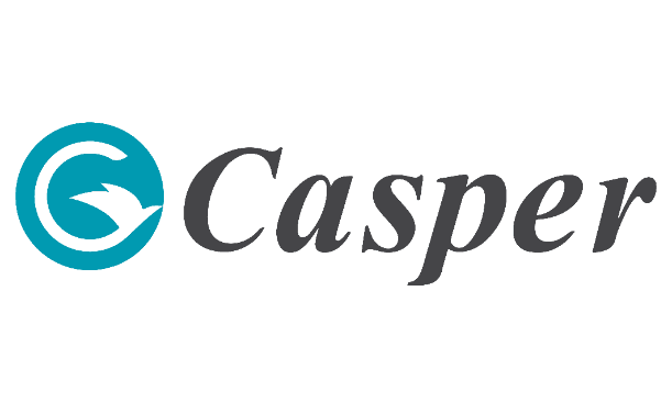 Logo Casper Vietnam., JSC