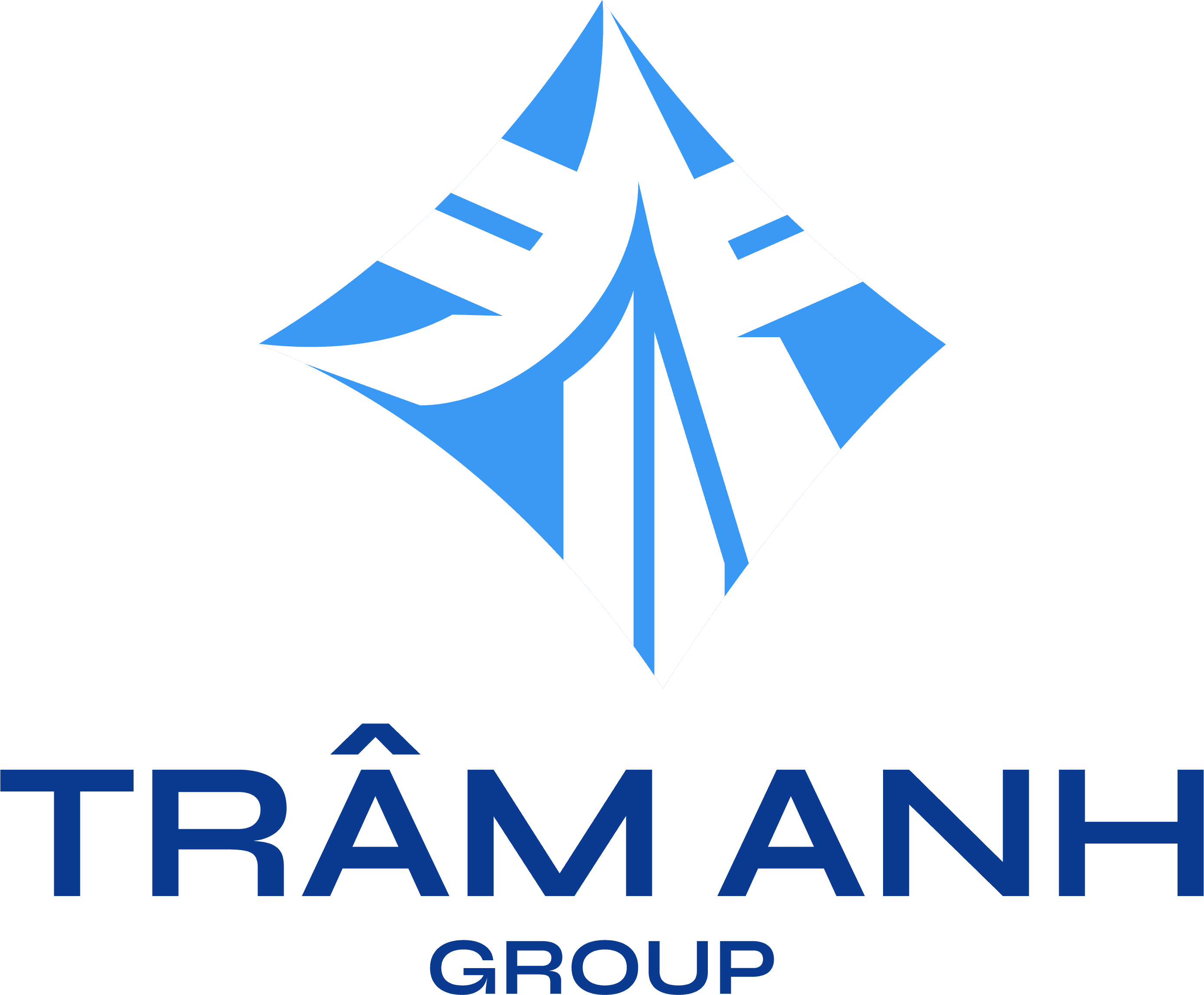 Logo CÔNG TY CỔ PHẦN ĐẦU TƯ TRÂM ANH GROUP