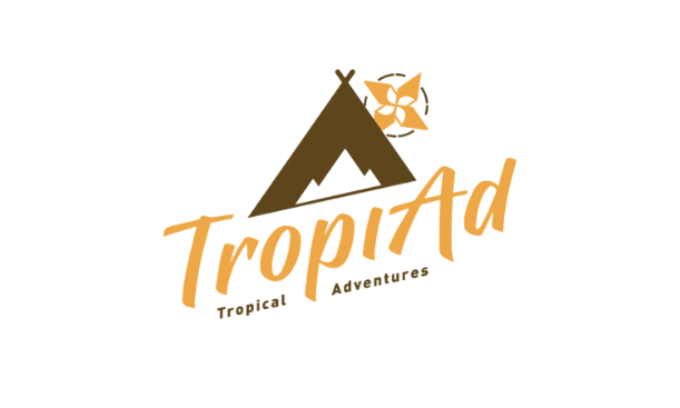 Logo Công ty cổ phần TropiAd