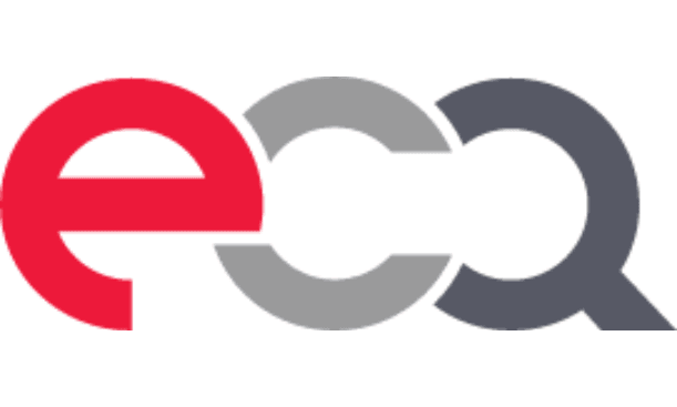 Logo E-Cqurity Viet Nam Company Limited