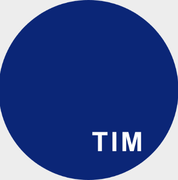Logo Turicum Investment Management AG / Tim Vietnam JSC