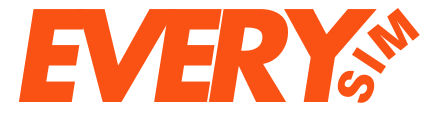 Logo Every Sim