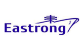 Logo Công Ty TNHH Eastrong International Logistics (VN)