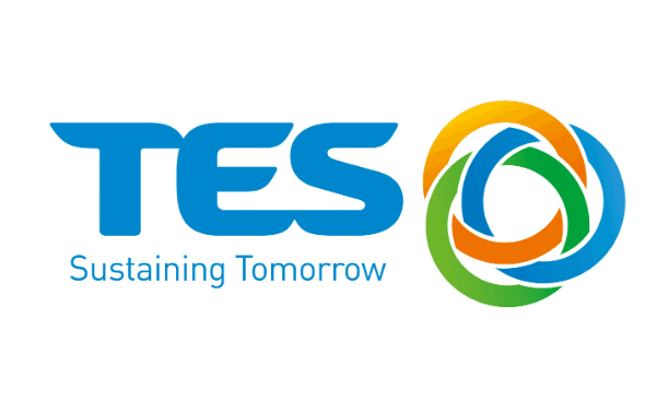 Logo Tes-Amm VIETNAM Company Limited