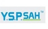 Logo Công Ty TNHH Y.S.P Việt Nam