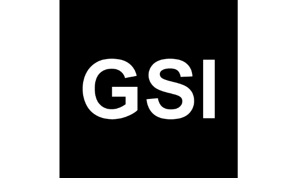 Logo German Software Intelligence LLC