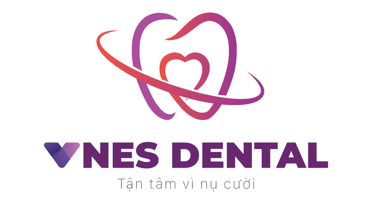 Logo Công ty TNHH VNES