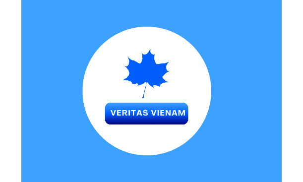 Logo CÔNG TY TNHH CÔNG NGHỆ VÀ DỊCH VỤ VERITAS VIỆT NAM