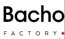 Logo VNB Factory