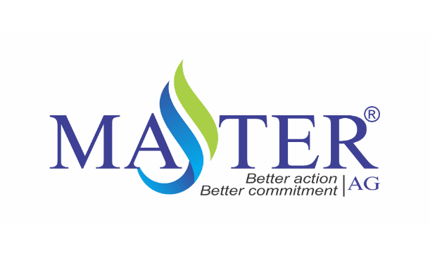 Logo Master AG