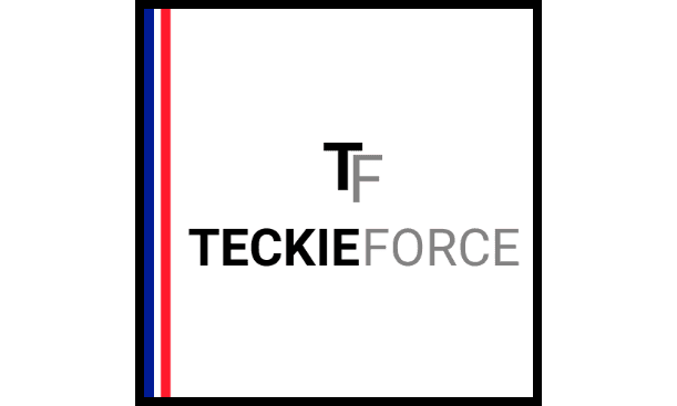 Logo CÔNG TY TNHH TƯ VẤN DỊCH VỤ CÔNG NGHỆ THÔNG TIN TECKIE FORCE