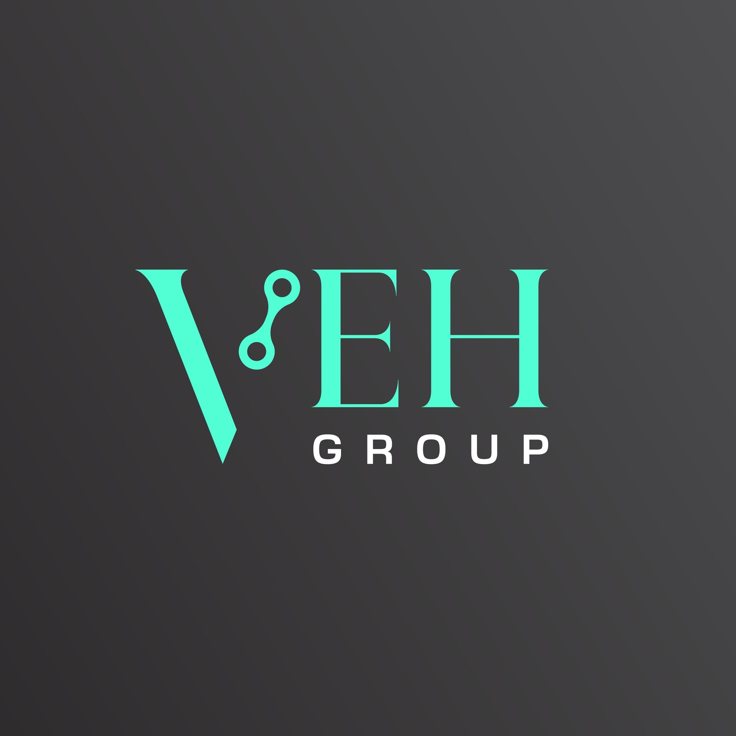 Logo Công ty Cổ phần Quốc tế Sức khỏe Việt (VEHGroup)