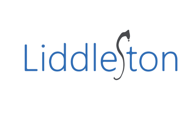Logo Công ty TNHH Liddleston Việt Nam