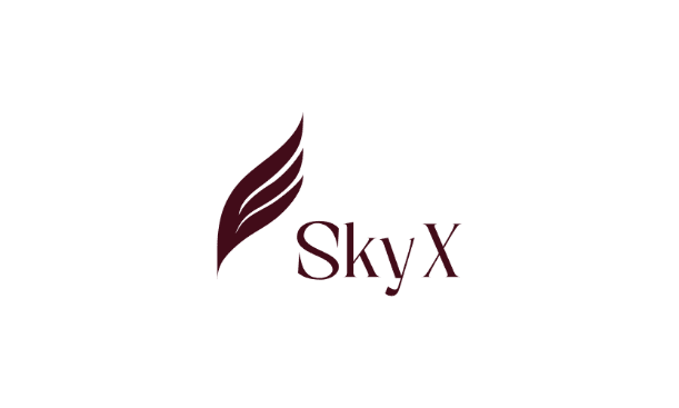 Logo SkyX Air