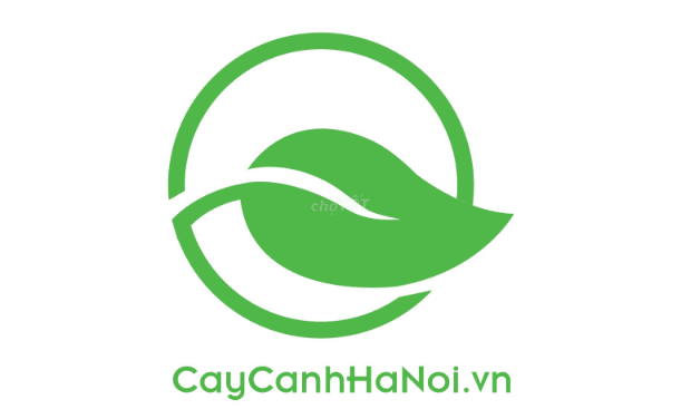 Logo Công Ty TNHH Một Thành Viên Cây Cảnh Hà Nội