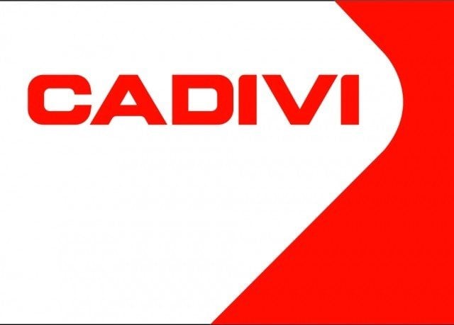 Logo CHI NHÁNH CÔNG TY CỔ PHẦN DÂY CÁP ĐIỆN VIỆT NAM - NHÀ MÁY CADIVI MIỀN ĐÔNG