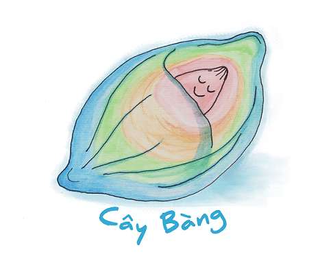 Logo Công ty Cổ phần Đầu tư và Giáo dục Cây Bàng