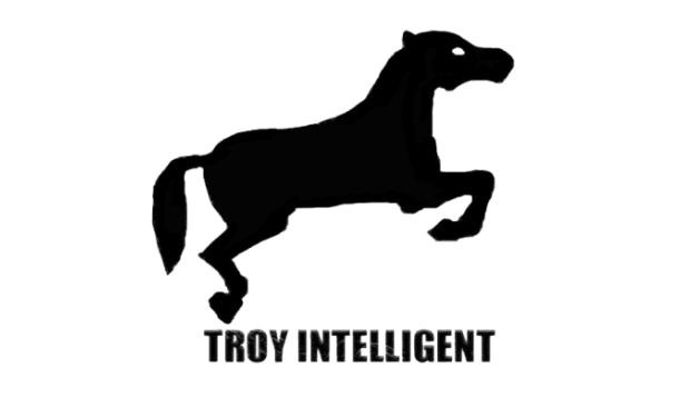 Logo CÔNG TY TNHH TƯ VẤN VÀ CÔNG NGHỆ TROY VIỆT NAM