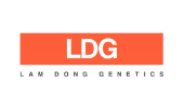 Logo Công Ty TNHH Hạt Giống Hoa Việt Nam