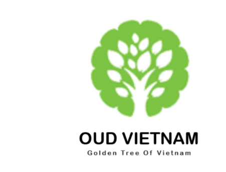 Logo Công Ty TNHH Sán Xuất và Thương Mại Trầm Hương Việt Nam