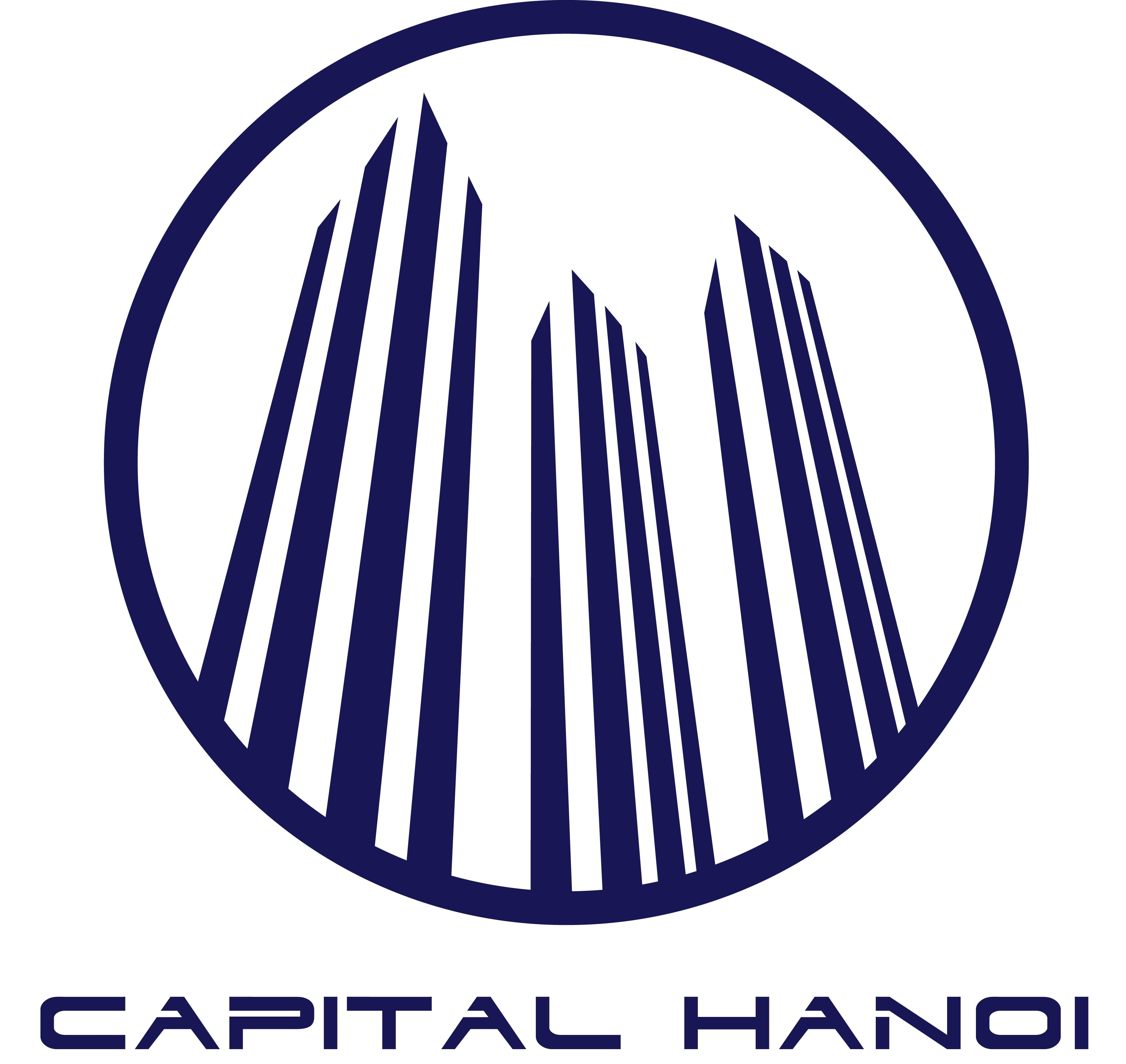 Logo CÔNG TY CỔ PHẦN ĐẦU TƯ ĐỊA ỐC CAPITAL HÀ NỘI