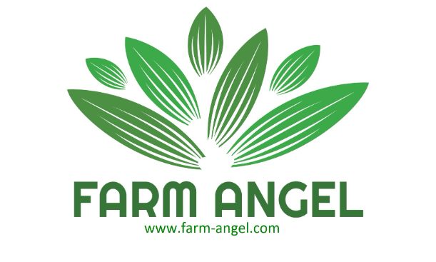 Logo CÔNG TY TNHH FARM ANGEL