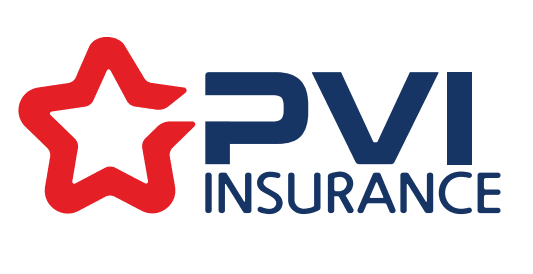 Logo Công Ty Bảo Hiểm PVI Gia Định