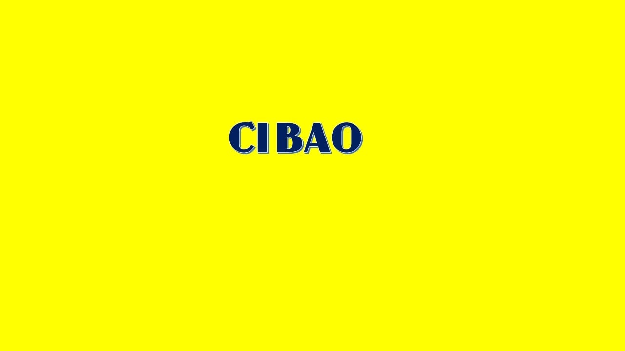 Logo Công Ty TNHH CI BAO