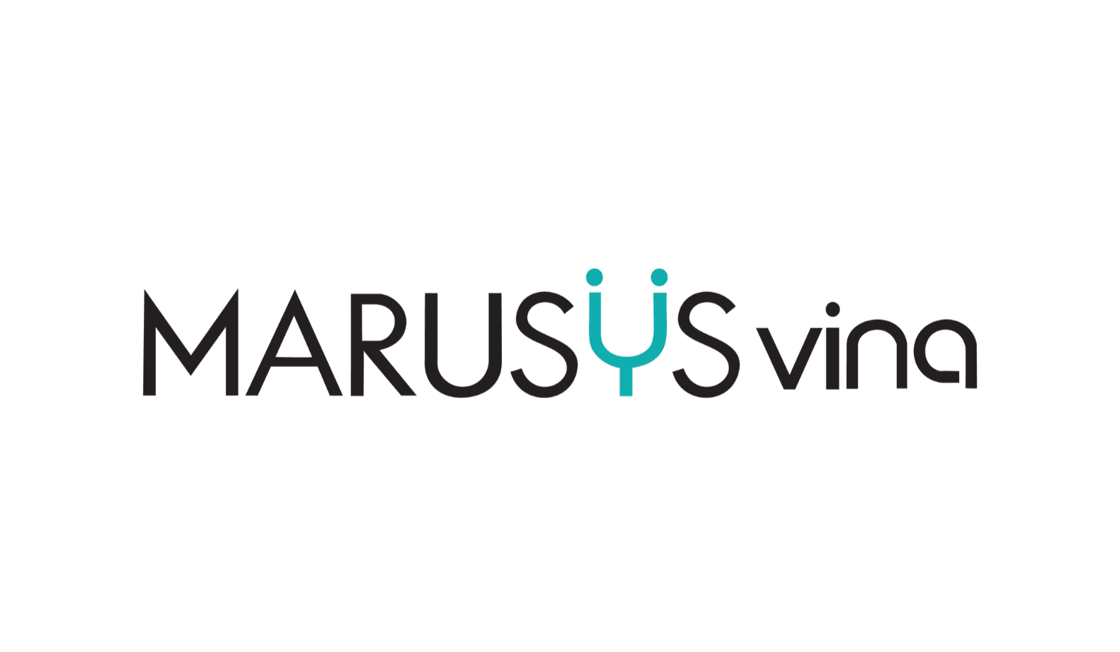 Logo Marusys Vina Co., Ltd