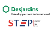 Logo Developpement International Desjardins