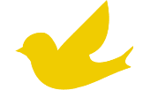 Logo Canary Software