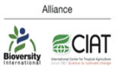 Logo The Alliance of Bioversity International and The International Center For Tropical Agriculture (CIAT)