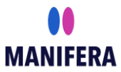 Logo Manifera Software Development