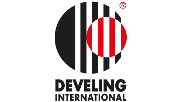 Logo Develing International (Viet Nam)