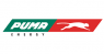 Logo Puma Energy Bitumen Vietnam LTD.