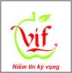 Logo VIF Investment Joint Stock Company