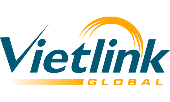 Logo Vietlink Global