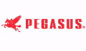 Logo Công Ty TNHH Sản Xuất Máy May Pegasus Việt Nam