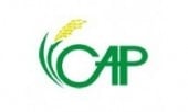 Logo Trung tâm Tư vấn Chính sách nông nghiệp, Viện Chính sách và Chiến lược Phát triển nông nghiệp nông thôn, Bộ Nông nghiệp và phát triển nông thôn