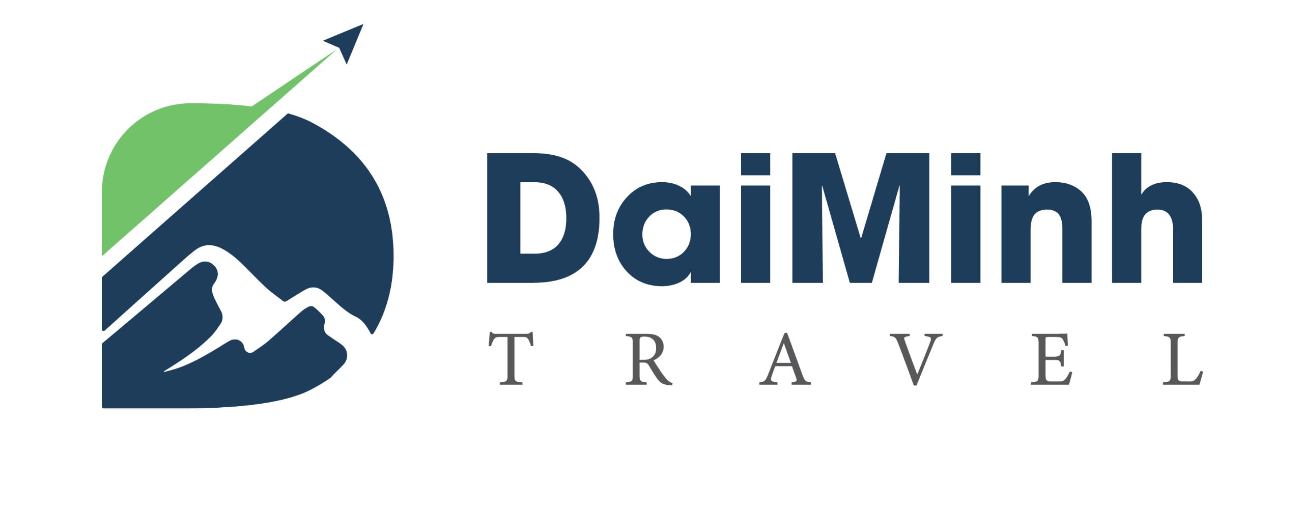 Logo Công Ty TNHH Thương Mại, Dịch Vụ & Du Lịch Đại Minh