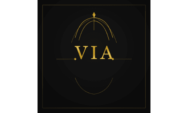 Logo CÔNG TY TNHH HỌC VIỆN SÁNG TẠO VIỆT VIA