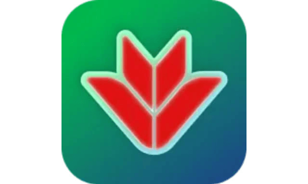 Logo TTKD Ô TÔ MIỀN NAM VPBANK
